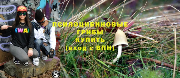 дживик Армянск