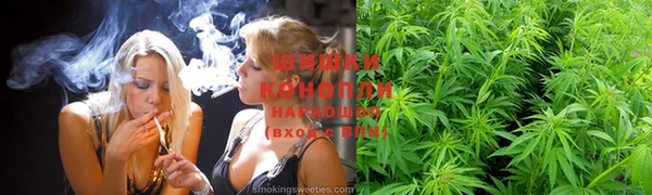 прущий лед Арсеньев