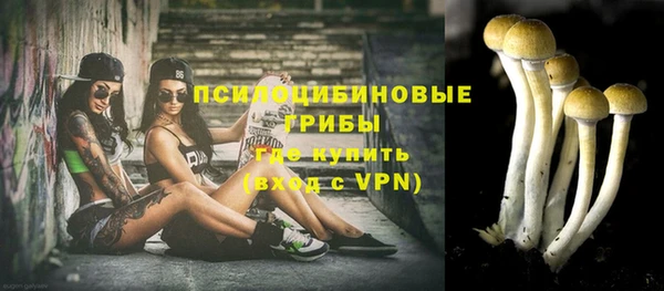 дживик Армянск
